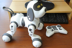 BloomNBoom Intelligent Remote Control Robot Dog