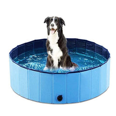 BloomNBoom Foldable Large Dog Pool
