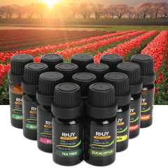 BloomNBoom Diffusers Essential Oil Set