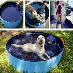 BloomNBoom Foldable Large Dog Pool