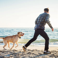 BloomNBoom Wireless GPS Dog Tracker