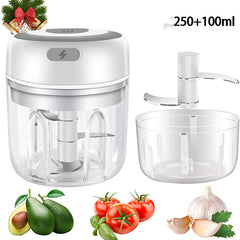 BloomNBoom Mini Electric Garlic Chopper