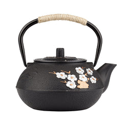BloomNBoom Japanese Teapot