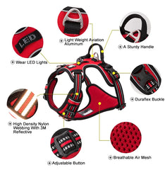 BloomNBoom Dog Harness Pet Reflective Nylon