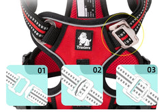 BloomNBoom Dog Harness Pet Reflective Nylon