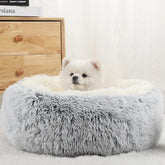 BloomNBoom Dog Bed