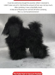 BloomNBoom Pet simulation for pet grooming