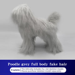 BloomNBoom Pet simulation for pet grooming