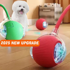 BloomNBoom Dog Toy