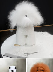 BloomNBoom Pet simulation for pet grooming