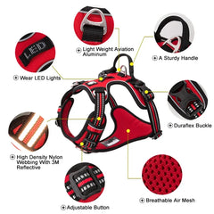 BloomNBoom Dog Harness Pet Reflective Nylon