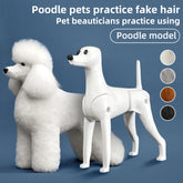BloomNBoom Pet simulation for pet grooming