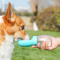 BloomNBoom Portable Travel Water Bottle for Pets