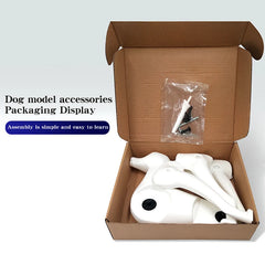 BloomNBoom Pet simulation for pet grooming