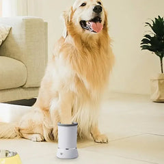 BloomNBoom Pet Feet Washer