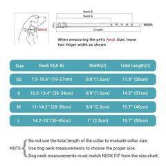 BloomNBoom Neck Scarf